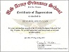 certificate_of_appreciation.jpg (520854 bytes)